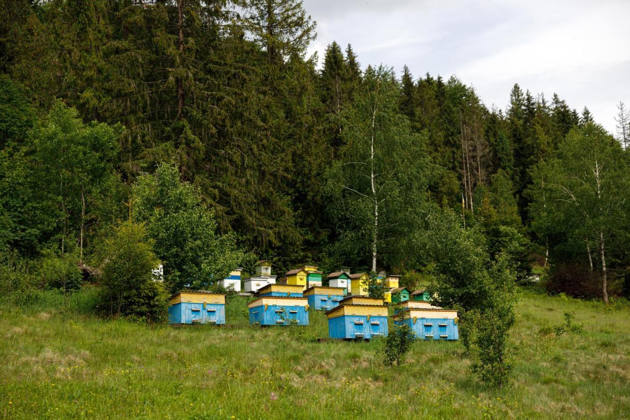 Медовий Двір Rozhanka Nizhnyaya Exteriér fotografie